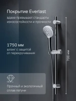 Душевой гарнитур AM.PM Gem F0190100 хром