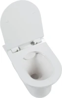 Унитаз подвесной Aquanet Roll 210766 Унитаз подвесной Aquanet Roll 210766