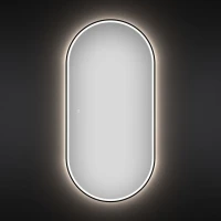 Зеркало Wellsee 7 Rays’ Spectrum 60х120 с фронтальной подсветкой, черное матовое