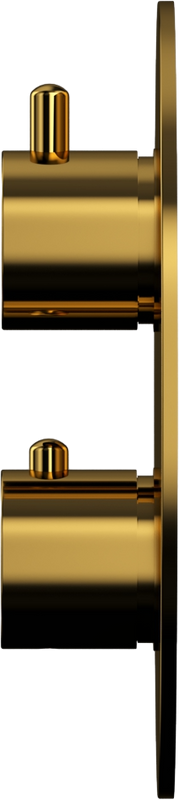 Термостатический смеситель встраиваемый WHITECROSS Y Y1236GL С ВНУТРЕННЕЙ ЧАСТЬЮ, для ванны с душем, золото