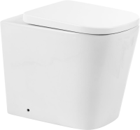 Унитаз приставной напольный BelBagno Albano BB120CBR безободковый, крышка BB120SC с микролифтом