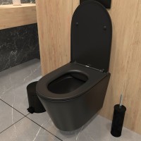 Унитаз подвесной Teymi Solli T40201MB с микрофлитом, безободковый, черный