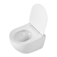 Унитаз подвесной BelBagno Amanda-Tor BB051CH-TOR-FC/SC безободковый, с микролифтом, смыв торнадо, белый глянцевый