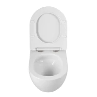 Унитаз подвесной BelBagno Amanda-Tor BB051CH-TOR-FC/SC безободковый, с микролифтом, смыв торнадо, белый глянцевый