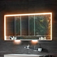 Зеркало-шкаф Keuco Royal Lumos Royal Lumos 120 серебристое анодированное с подсветкой, встраиваемое
