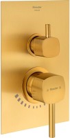 Душевой комплект Shouder Romer 0264107 С ВНУТРЕННЕЙ ЧАСТЬЮ, с изливом, матовое золото