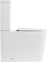 Унитаз-компакт напольный BelBagno Albano BB120CPR безободковый, крышка BB120SC с микролифтом, бачок BB120T