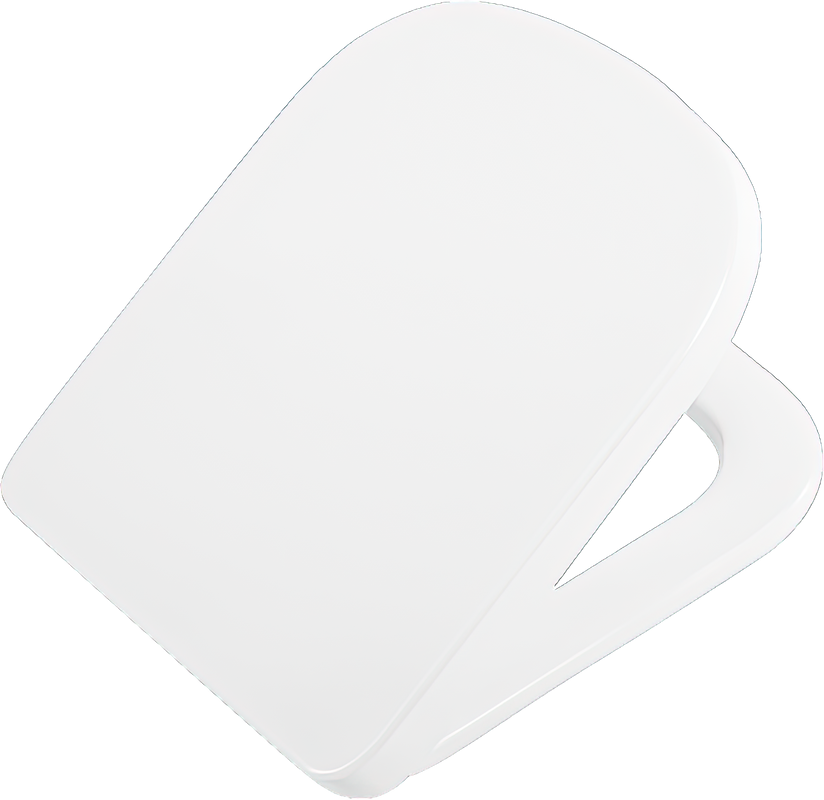 Унитаз-компакт напольный BelBagno Albano BB120CPR безободковый, крышка BB120SC с микролифтом, бачок BB120T