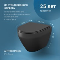 Унитаз подвесной AM.PM Spirit V2.0 FlashClean с микролифтом, черный матовый
