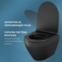 Унитаз подвесной AM.PM Spirit V2.0 FlashClean с микролифтом, черный матовый