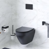 Унитаз подвесной AM.PM Spirit V2.0 FlashClean с микролифтом, черный матовый
