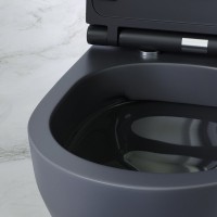 Унитаз подвесной AM.PM Spirit V2.0 FlashClean с микролифтом, черный матовый