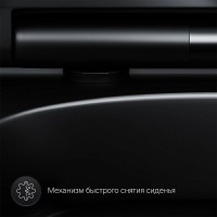 Унитаз подвесной AM.PM Spirit V2.0 FlashClean с микролифтом, черный матовый