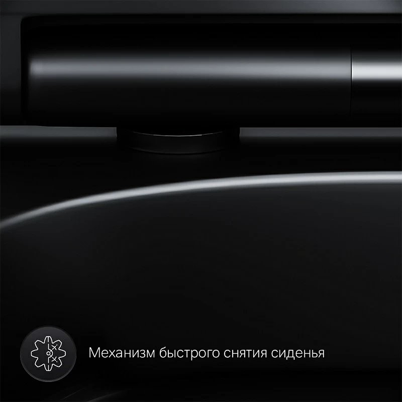 Унитаз подвесной AM.PM Spirit V2.0 FlashClean с микролифтом, черный матовый