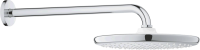 Верхний душ Grohe Tempesta 250 26668000