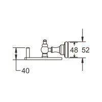 Полка Rose RG11 RG1119 50 см, хром