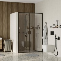 Душевая дверь в нишу Wasserkraft Dill 61S13