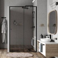 Душевая дверь в нишу Wasserkraft Dill 61S13