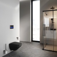 Унитаз подвесной AM.PM Inspire V2.0 FlashClean C50A1700MBSC безободковый, черный матовый