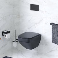 Унитаз подвесной AM.PM Inspire V2.0 FlashClean C50A1700MBSC безободковый, черный матовый