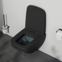 Унитаз подвесной AM.PM Inspire V2.0 FlashClean C50A1700MBSC безободковый, черный матовый