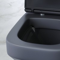 Унитаз подвесной AM.PM Inspire V2.0 FlashClean C50A1700MBSC безободковый, черный матовый