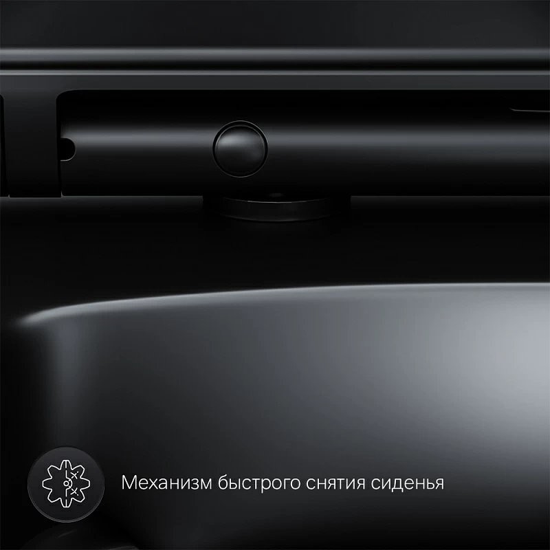 Унитаз подвесной AM.PM Inspire V2.0 FlashClean C50A1700MBSC безободковый, черный матовый