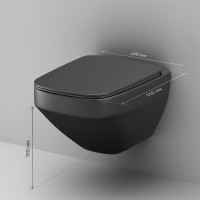 Унитаз подвесной AM.PM Inspire V2.0 FlashClean C50A1700MBSC безободковый, черный матовый