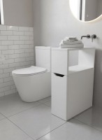 Тумба в туалет Sanflor 20 с нишей, белая