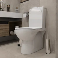 Унитаз-компакт напольный Teymi Aina T40205 с микрофлитом, безободковый, белый