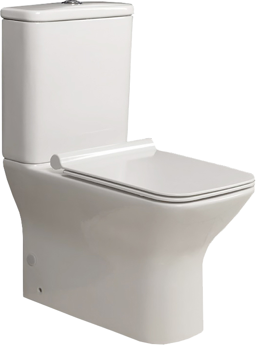 Унитаз-компакт напольный BelBagno Romano BB248CPR-P безободковый, с микролифтом, бачок BB248T