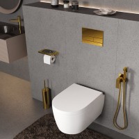 Система инсталляции для унитазов Wasserkraft Aller 10TLT.010.ME.PG04 с кнопкой смыва золото