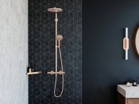 Полка Hansgrohe AddStoris 41741140 шлифованная бронза
