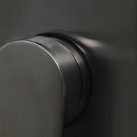 Смеситель для ванны с душем Wasserkraft Wiese 8401 оружейная сталь