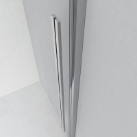 Душевая дверь в нишу Ambassador Intense 110021101IX 120 см, профиль хром