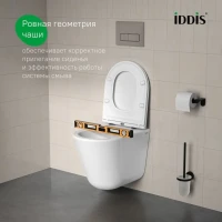 Унитаз подвесной безободковый, быстросъемное сиденье с микролифтом, смыв "торнадо", IDDIS, Ray, RAYRDSEi25