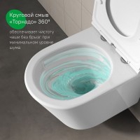Унитаз подвесной безободковый, быстросъемное сиденье с микролифтом, смыв "торнадо", IDDIS, Ray, RAYRDSEi25