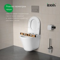 Унитаз подвесной безободковый, быстросъемное сиденье с микролифтом, смыв "торнадо", IDDIS, Ray, RAYRDSEi25