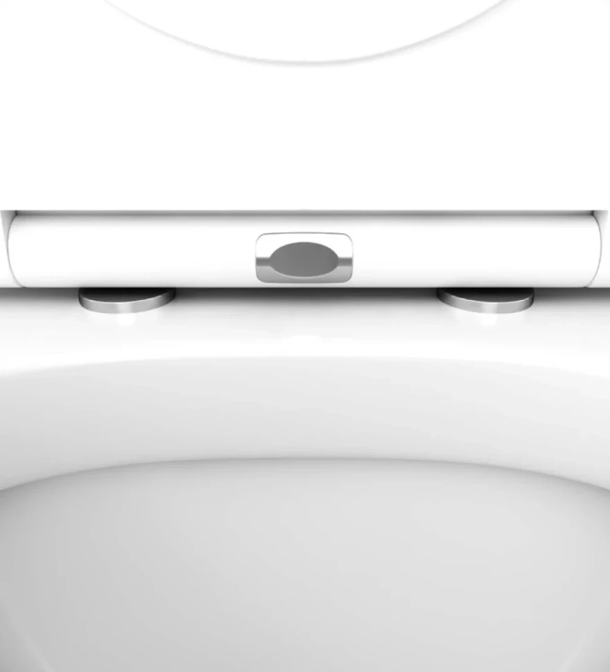 Комплект Унитаз подвесной AM.PM Spirit V2.0 с микролифтом + Инсталляция Geberit Duofix Delta 458.149.21.1 с кнопкой смыва, хром + Звукоизоляция
