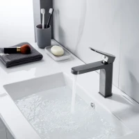 Смеситель для раковины Shevanik S4501T, оружейная сталь