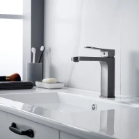 Смеситель для раковины Shevanik S4501T, оружейная сталь