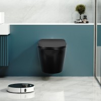 Унитаз подвесной Abber Bequem AC1108PMB безободковый, с микролифтом, матовый черный