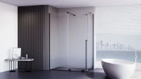 Душевой уголок Veconi Premium Trento PTC-SP-50B 150х80 см, профиль матовый черный, стекло прозрачное