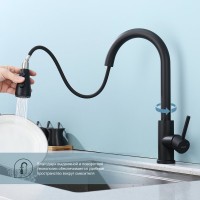 Смеситель для кухни с выдвижным изливом Splenka S203.49.06, черный
