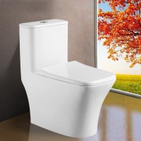 Унитаз напольный моноблок Azario Teano AZ-8621 с сиденьем микролифт
