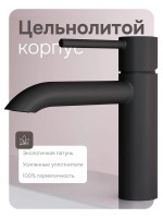 Смеситель для раковины AM.PM Libre F6002222 матовый черный