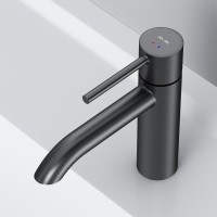 Смеситель для раковины AM.PM Libre F6002222 матовый черный