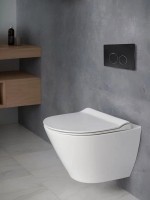 Кнопка смыва для унитаза AltroBagno Beni aggiuntivi AltroBagnoPFP005DQ пластик, цвет черный