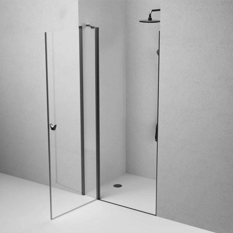 Душевая дверь в нишу AM.PM Sunny W87G-100-1P-BT 100 см