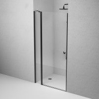 Душевая дверь в нишу AM.PM Sunny W87G-100-1P-BT 100 см